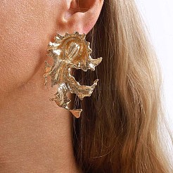 Boucles d'oreilles en alliage pour femmes&nbsp;WG7FEEE-01