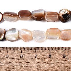 Natürlichen Süßwasser-Muschelperlen Stränge&nbsp;SHEL-Q030-01