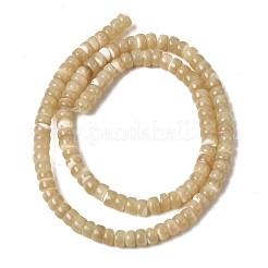 Нити бусин из натуральных трохоидных/трохус ракушек&nbsp;SSHEL-S266-019B-03