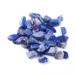 Perles en lapis-lazuli naturel, non percé / pas de trou, puces, 6~24x5~12x3~9mm, environ 100 g /sachet 