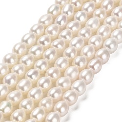 Natural Cultured Freshwater Pearl Beads Strands, Rice, Grade 5A, Floral White, 5~5.5x4.5~5mm, Hole: 0.7mm, about 60~61pcs/strand, 14.25''~14.41''(36.2~36.6cm)