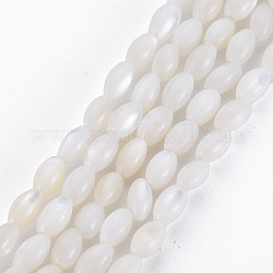 Eau douce naturelle de coquillage perles brins, riz, couleur de coquillage, 5x3mm, Trou: 0.9mm, Environ 83~85 pcs/chapelet, 15.55 pouce ~ 15.75 pouces (39.5~40 cm)
