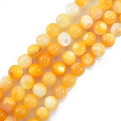 Fili di perline di conchiglia giallo dorato naturale, tondo, 9mm, Foro: 0.9 mm, circa 45pcs/filo, 15.43 pollice (39.2 cm)
