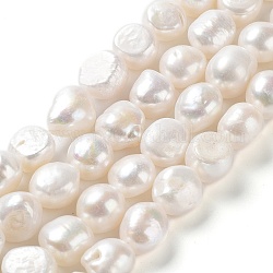 Natural Cultured Freshwater Pearl Beads Strands, Two Side Polished, Grade 4A, Seashell Color, 11~13x12~16x8~9mm, Hole: 0.6mm, about 27~28pcs/strand, 14.96''(38~39cm)