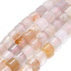 Chapelets de perles en agate naturelle de fleurs de cerisier, colonne, 8.5x8mm, Trou: 0.8mm, Environ 60 pcs/chapelet, 15.94'' (40.5 cm)