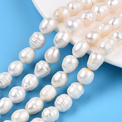Natural Cultured Freshwater Pearl Beads Strands, Rice, Seashell Color, 8~14x8.5~10mm, Hole: 0.6mm, about 31~34pcs/strand, 13.58~14.06 inch(34.5~35.7cm)