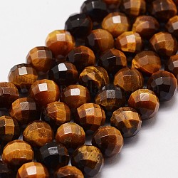 Natürlichen Tigerauge Perlen Stränge, Klasse A, facettiert (64 Facetten), runde Perle, 8 mm, Bohrung: 1.2 mm, 49 Stk. / Strang, 15.7 Zoll