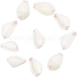 Cuentas de concha de cowrie natural, perlas sin perforar / sin orificios, blanco, 24~32x14~20x13~16mm, 10 unidades / caja