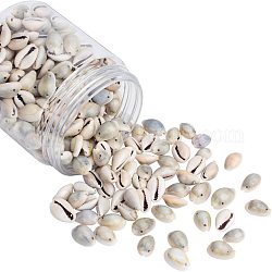 PandaHall 300 pcs Natural Cowrie Spiral Sea Shell Links Beach Sea Shell Beads with 2 Holes for Earring Bracelet Pendant Jewelry DIY Craft Making Wedding Party Wall Home Decor