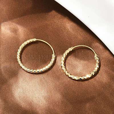 Фактурные серьги-кольца из латуни EJEW-F378-03C-G-1