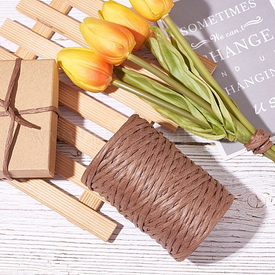 Бумажные шнуры для поделок изготовления ювелирных изделий OCOR-WH0032-52-1