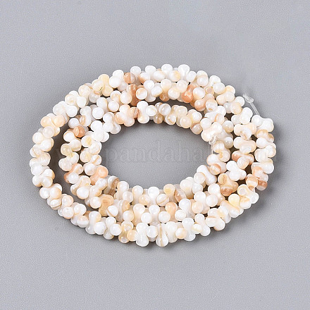 Нити бусин из натуральных пресноводных ракушек SHEL-N038-29A-1