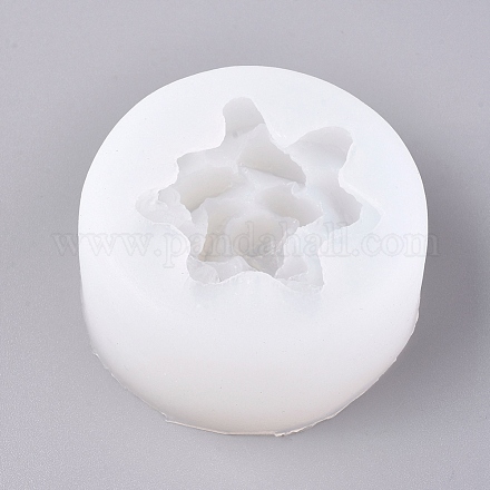 Stampi in silicone X-DIY-WH0157-66B-1