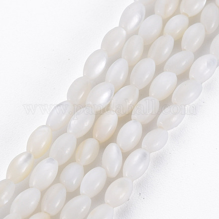 Eau douce naturelle de coquillage perles brins SHEL-N027-08A-1