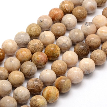 Natural Fossil Coral Round Bead Strands G-L312-07-1