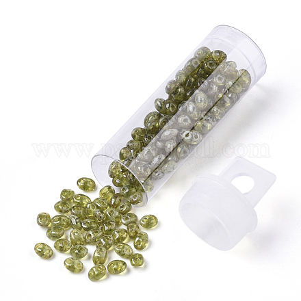 Perles de rocaille avec 2 trou SEED-R048-50230-1
