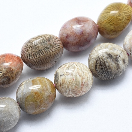 Chapelets de perles en pierre de chrysanthème naturel G-E483-75A-1