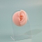 Silicone Soft Flexible Model Left Ear Earrings Storage Rack, for Piercing Practice, Photo Props, Clear, 5x7.5x11.5cm