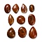 Natural Red Agate Cabochons, Mixed Shapes, 24.5~39x17~28x7~12mm