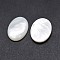 Shell Cabochons, Oval, White, 19.5~20.5x14.5~15x3mm