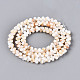 Нити бусин из натуральных пресноводных ракушек&nbsp;SHEL-N038-29A-1