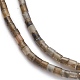 Natural Larvikite Beads Strands G-H255-18-2