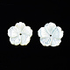 Perlas de concha de nácar de concha blanca natural SSHEL-T014-42B-2