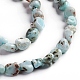 Natural Larimar Beads Strands G-D0002-B38-3