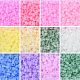 2340pcs 12 colores cuentas de semillas de vidrio de ceilán GLAA-CJ0002-27-3