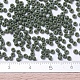 Miyuki runde Rocailles Perlen X-SEED-G007-RR0501-1