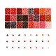 Perles de rocaille en verre série rouge 600g 24 couleurs SEED-JP0008-02-4mm-1