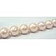 Shell Pearl Beads Strands X-SP8MM505-1