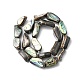 Natural Paua Shell Beads Strands SHEL-F006-01-2