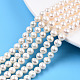 Natural Cultured Freshwater Pearl Beads Strands PEAR-N013-05E-1