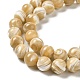 Brins de perles de coquillages naturels de troca SHEL-K006-18D-3