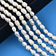 Natural Cultured Freshwater Pearl Beads Strands PEAR-N012-05C-6