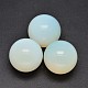 Opalite perles rondes affichage de la maison décorations DJEW-L008-26-1