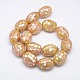 Natural Yellow Shell Beads Strands SSHEL-I008-13B-2