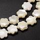 Fili di perle di conchiglia trochid naturale / trochus SSHEL-K010-03-3