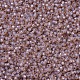 Perles rocailles miyuki rondes X-SEED-G007-RR0579-3