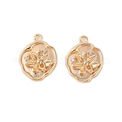 Подвески из латуни с прозрачным стеклом KK-N254-52G
