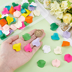 60шт 10 стиля непрозрачные подвески из смолы&nbsp;RESI-PH0002-59