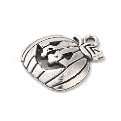 Тибетский стиль сплава цинка подвески&nbsp;LS-X-TIBEP-R334-072AS-RS