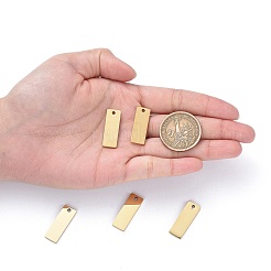 Pendentifs en acier inoxydable 304 avec placage ionique (IP)&nbsp;STAS-I140-22B-A