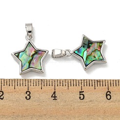 Природные пауа оболочки подвески&nbsp;KK-A214-14P