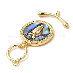 Латунные застежки-кнопки с ракушкой пауа KK-N254-71G