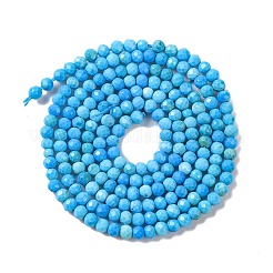 Fili di perline howlite naturale&nbsp;G-C025-02A-05