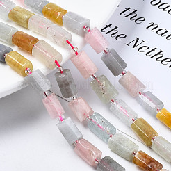 Природные морганит нитей бисера G-S376-014