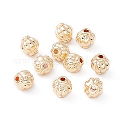 Cremagliera branelli della lega di placcatura&nbsp;FIND-WH0118-05B-G