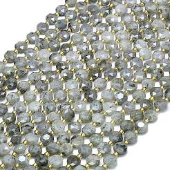 Природные лабрадорита бисер нитей G-C116-A65-02